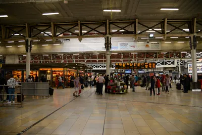 DSC_2517 (Large).JPG